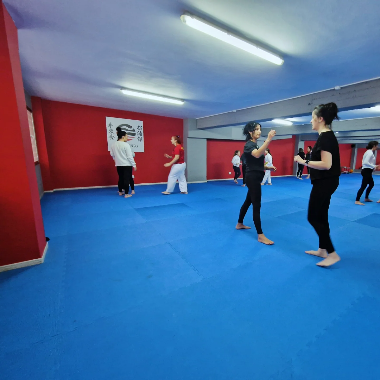 IMG_20241116_153747_664